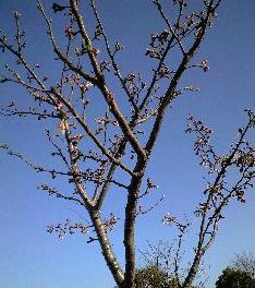 2009-04-02 17:09:13