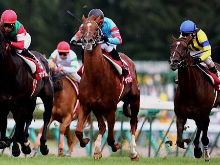 ﾔﾏﾆﾝｷﾝｸﾞﾘｰ札幌記念優勝