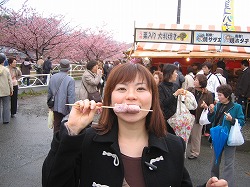 川津桜　桜だんご
