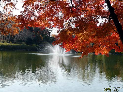 紅葉と噴水