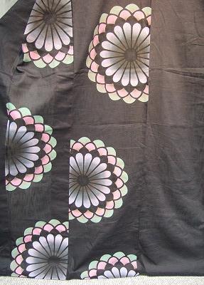 菊花　藍拡大.jpg