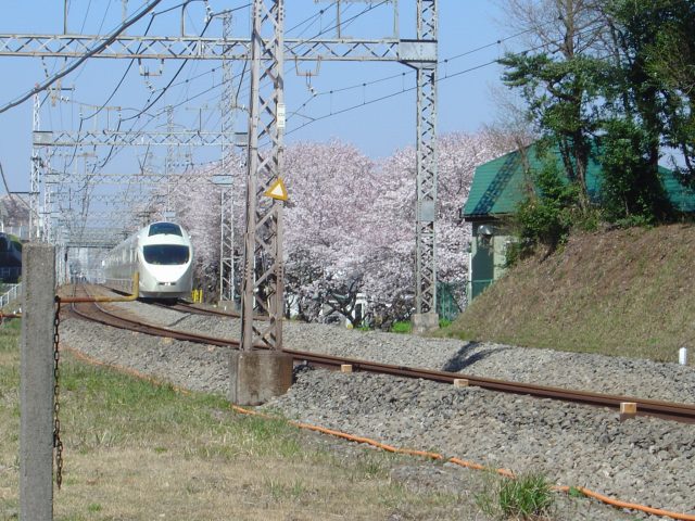DSC02446.jpg