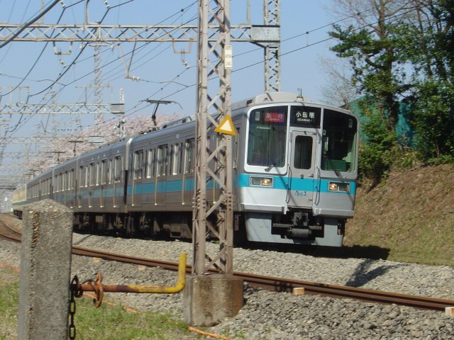 DSC02449.jpg