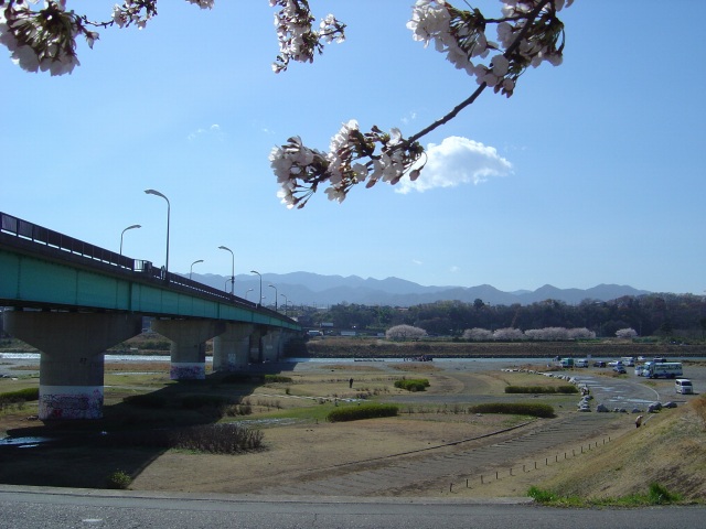 DSC02454.jpg