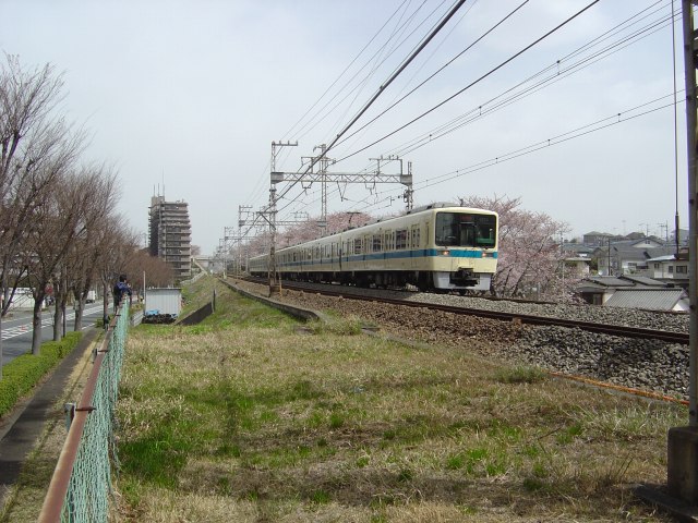 DSC02425.jpg