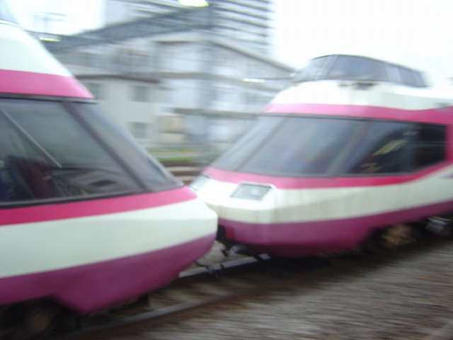 DSC02582.jpg
