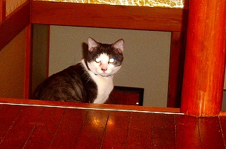 ２００６年１月 108.jpg