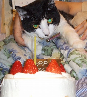 みるく１才おめでとう