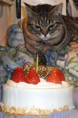 クルミ１才おめでとう