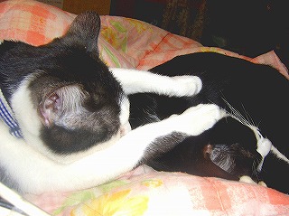 ２００６年１月 134.jpg