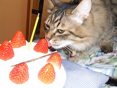 まろん・まだダメでしょ！！！