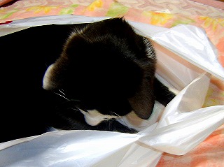 ２００６年１月 077.jpg