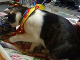 2006年2月 096.jpg