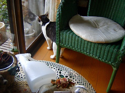 ２００６年２月 110.jpg