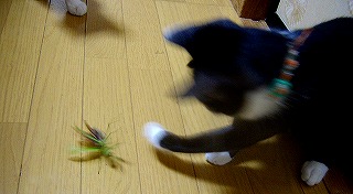 2005-10-26 00:52:20