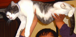 ２００６年１月 ヤマト.jpg