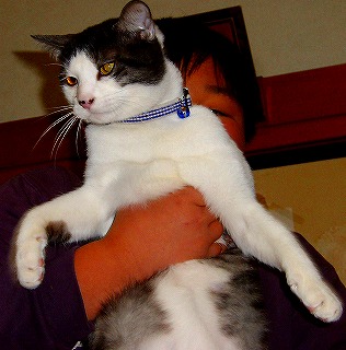 ２００６年１月 113.jpg