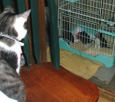 ヤマト気になる･･･