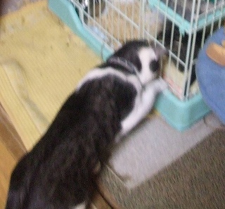 ヤマト少し手を出してみる