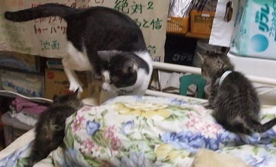 ヤマト少し近づく?