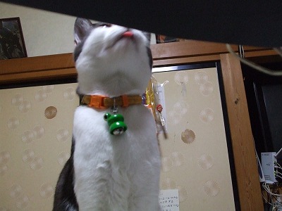 2006_0722２００６年７月0032.jpg