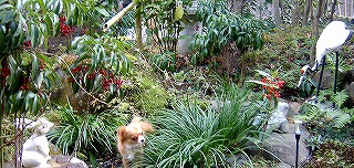 ２００５年１２月 590.jpg