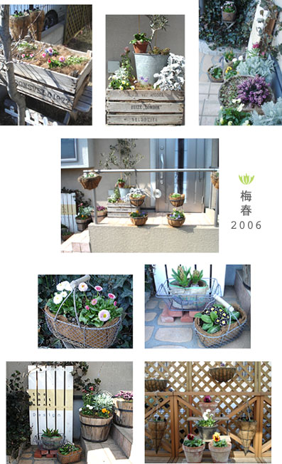 我が家の梅春ガーデン'06
