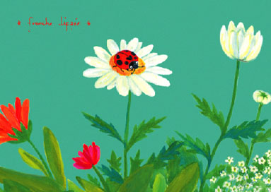 ノースポールとてんとう虫