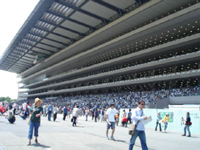 東京競馬場