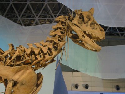 ケラトサウルス