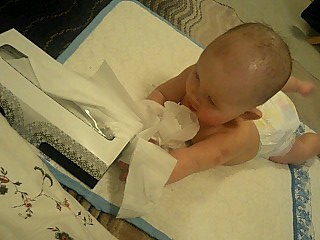 tissue01