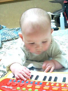 compose01.jpg