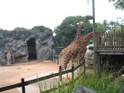 zoo03.jpg