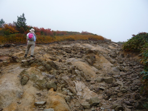 巻機山　７合目付近