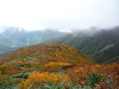 巻機山の紅葉