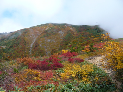 ７合目下から巻機山を望む