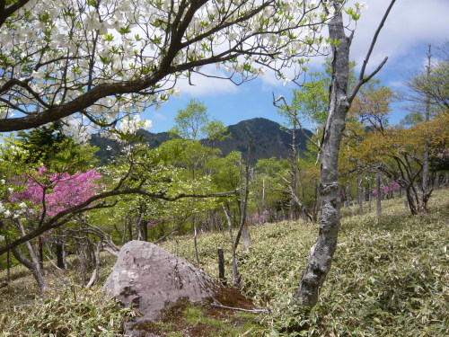袈裟丸山に向かう　１１：１４