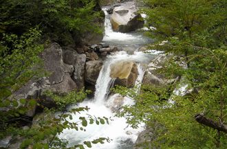 雨の後水量が多い.JPG