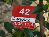 VP1020301.jpg