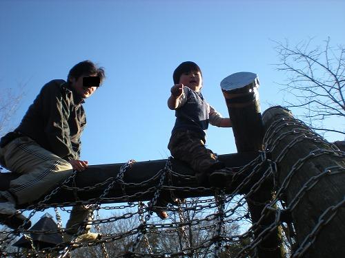 010.jpg