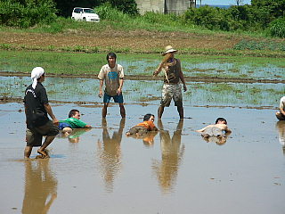 べったーフラッグ