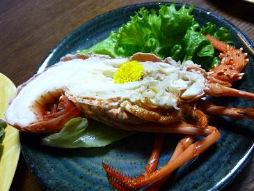 ロブスター.JPG