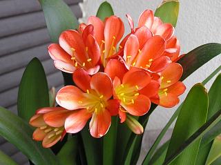 P1010008.JPG