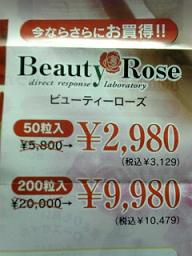 ﾛｰｽﾞﾊﾟﾝﾌﾚｯﾄ.JPG