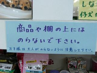 店内掲示板.JPG