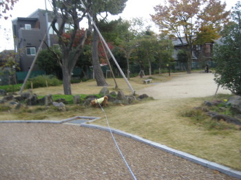 ハリー