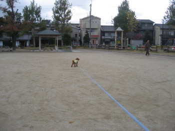 ハリー