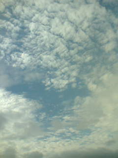羊雲.jpg