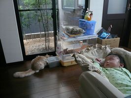 引越し先.JPG
