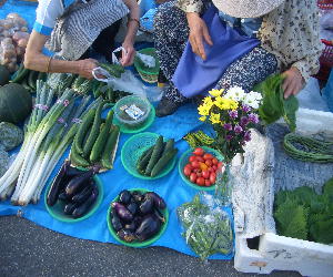 CIMG7387どれも百円の野菜.JPG